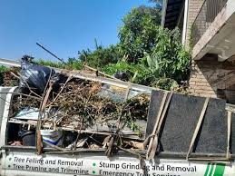 Best Demolition Debris Removal  in Lambertville, NJ