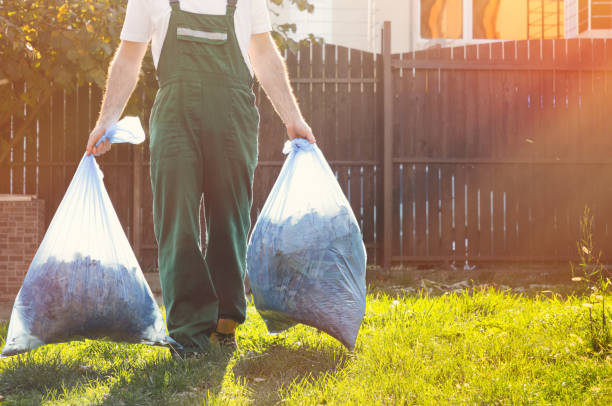 Best Dumpster Rental Services  in Lambertville, NJ